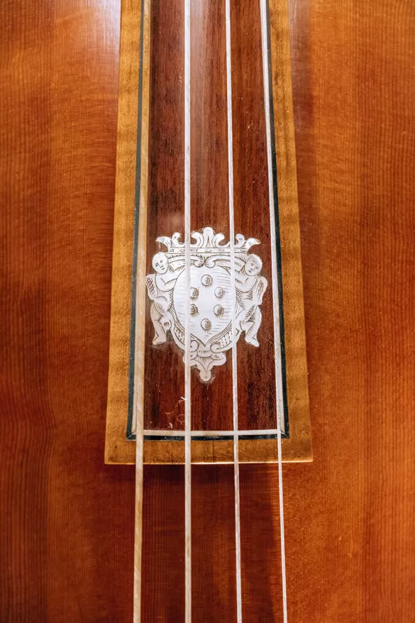 Unique Things to Do in Florence - Galleria dell'Accademia - Medici coat of arms on Violin - Stradivari