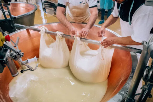 What to Eat in Bologna - Parmigiano Reggiano factory