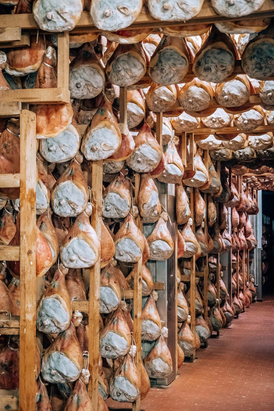 BEST Things to do in Parma Italy - Prosciutto di Parma Food tour - Aging racks