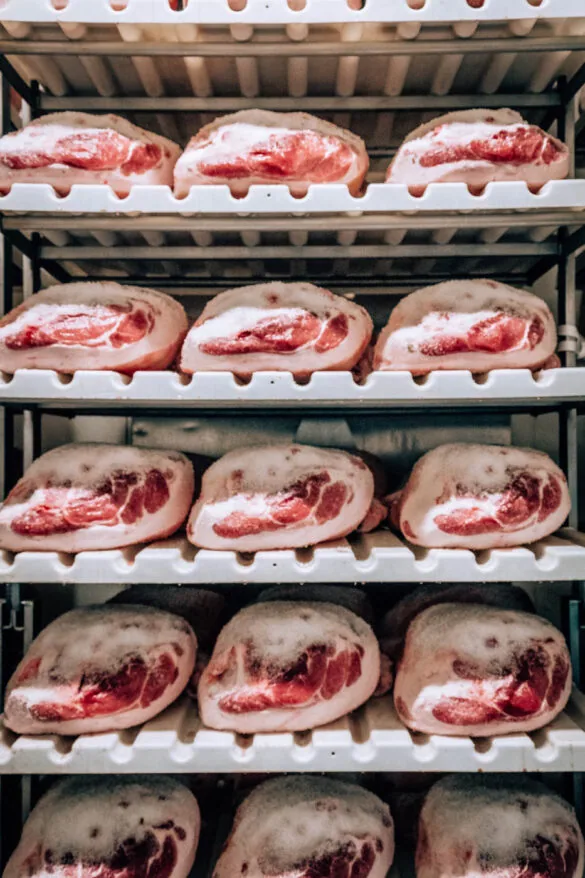 BEST Things to do in Parma Italy - Prosciutto di Parma Food tour - Prosciutto in fridge
