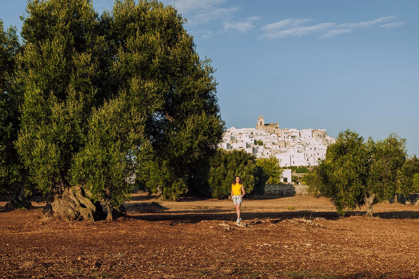 Things to do in Ostuni - Michele in Olive Grove