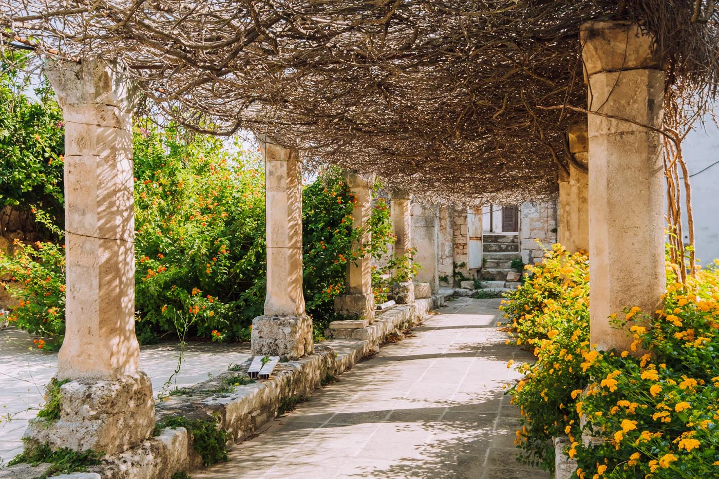 Things to do in Ostuni - Museo Diocesano di Ostuni - Rooftop Garden