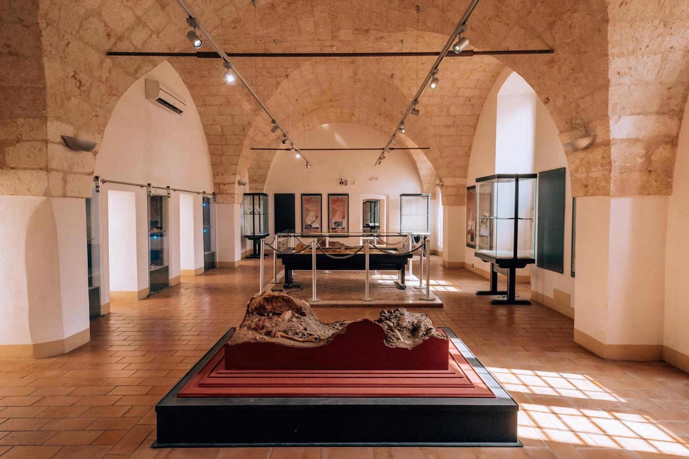 Things to do in Ostuni - Museum of Preclassic Civilizations of the Southern Murgia exhibit