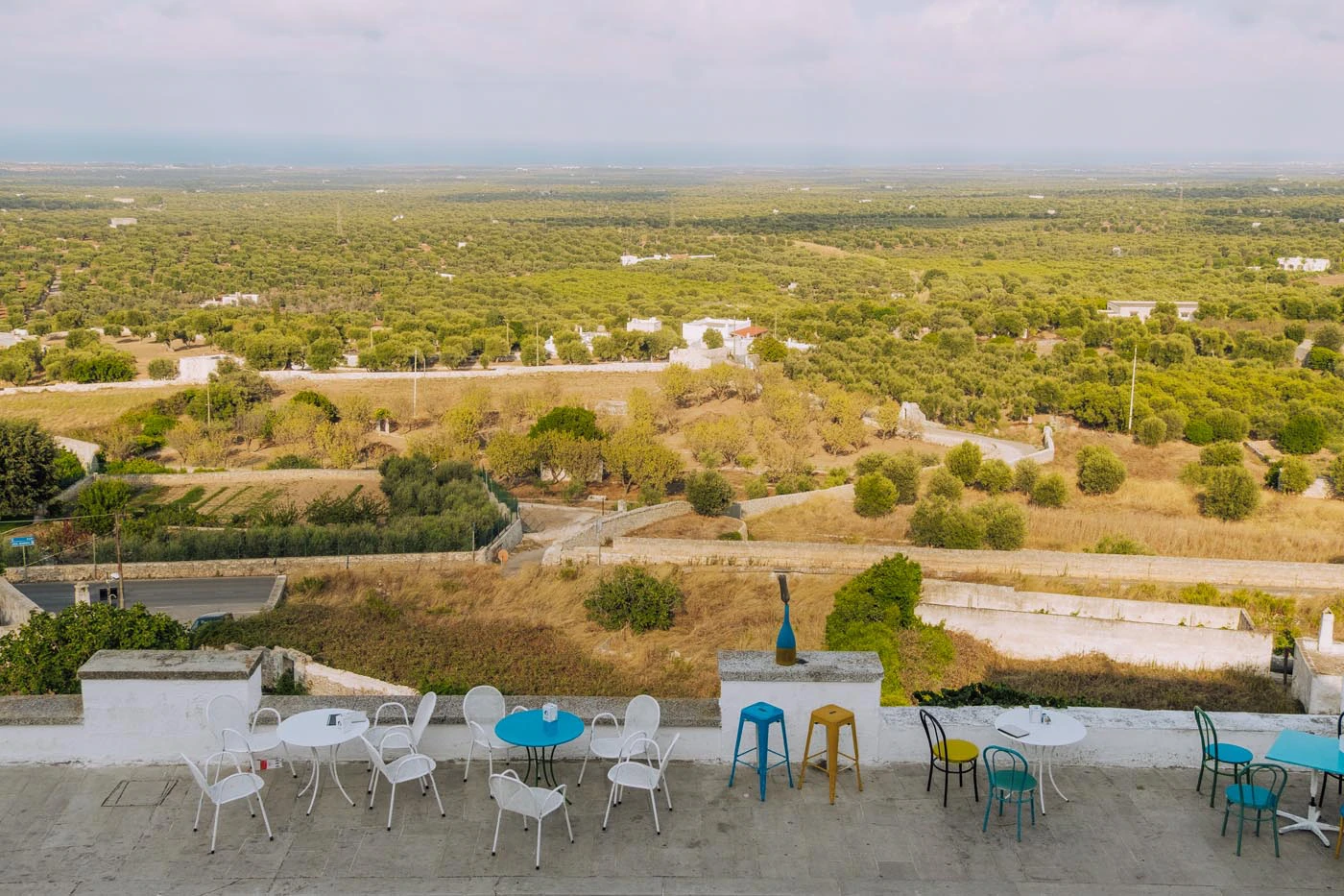 Things to do in Ostuni - Olive Groves - Ulivi Millenari
