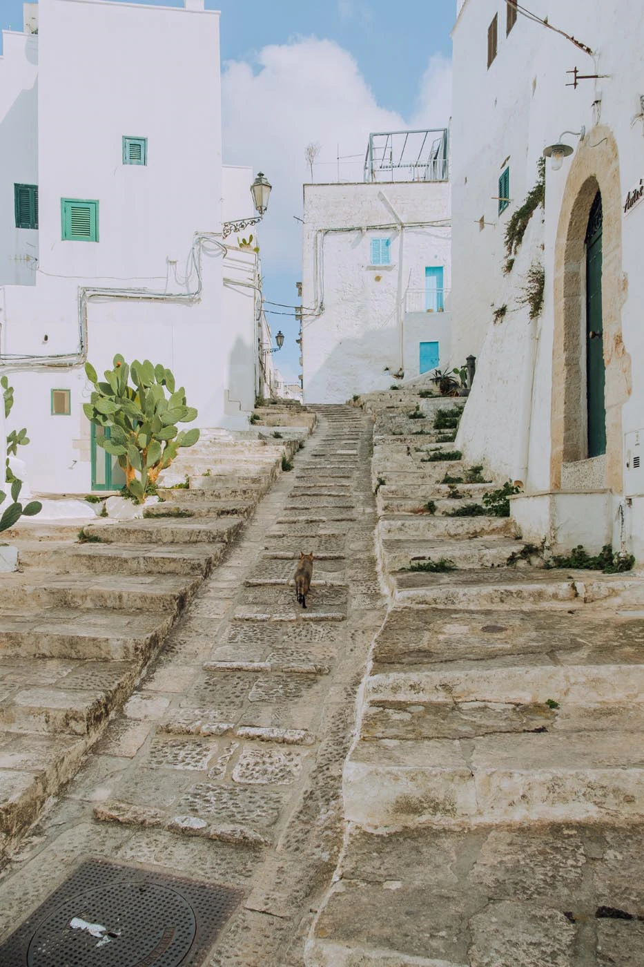 Things to do in Ostuni - Vico Balsamo de Landria with cat