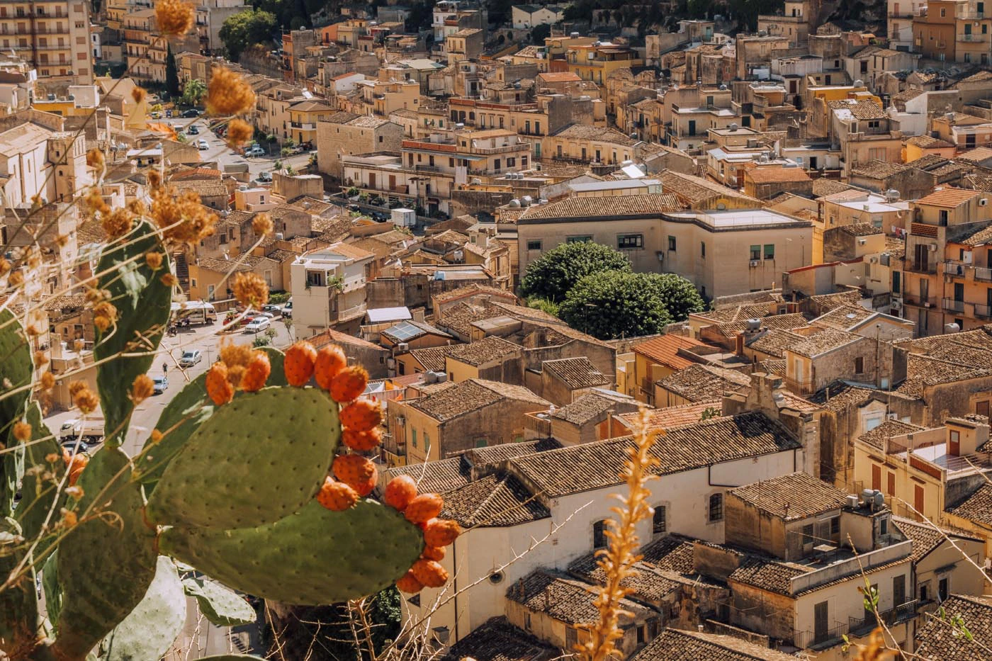 Things to do in Modica Sicily - Castello di Modica - Fichi d'india - Prickly pears