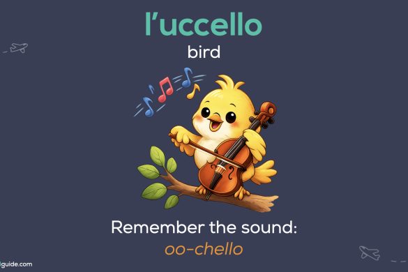 Intrepid Italian with Michele - How to Remember Italian Words - Mental image - uccello